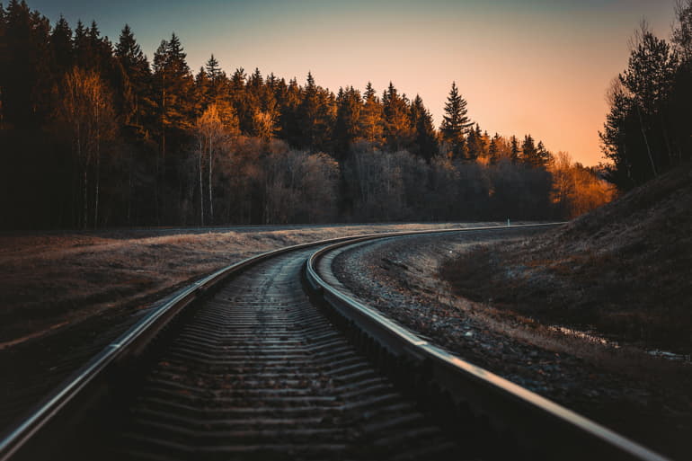 Linea ferroviaria che passa attraverso un'area boscosa