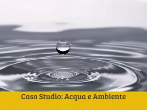 Caso Studio Acqua e Ambiente | SOAsemplice